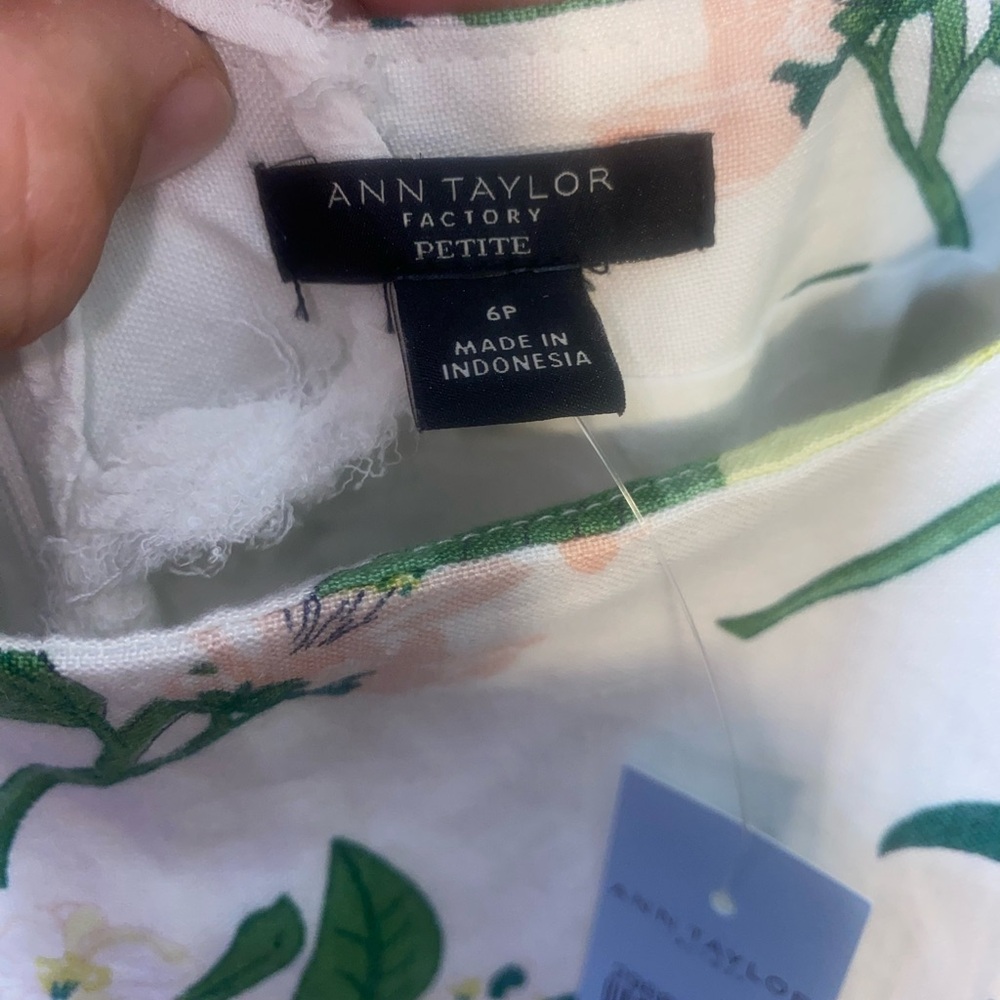 Size 6P Ann Taylor (NWT) Lemon Sundress, Square Neck Sheath Dress, Line - Picture 8 of 13